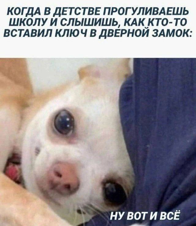 КОГДА В ДЕТСТВЕ ПРОГУЛИВАЕШЬ ШКОЛУ И СЛЫШИШЬ, КАК КТО-ТО ВСТАВИЛ КЛЮЧ В ДВЕРНОЙ ЗАМок: НУ ВОТ И ВСЁ