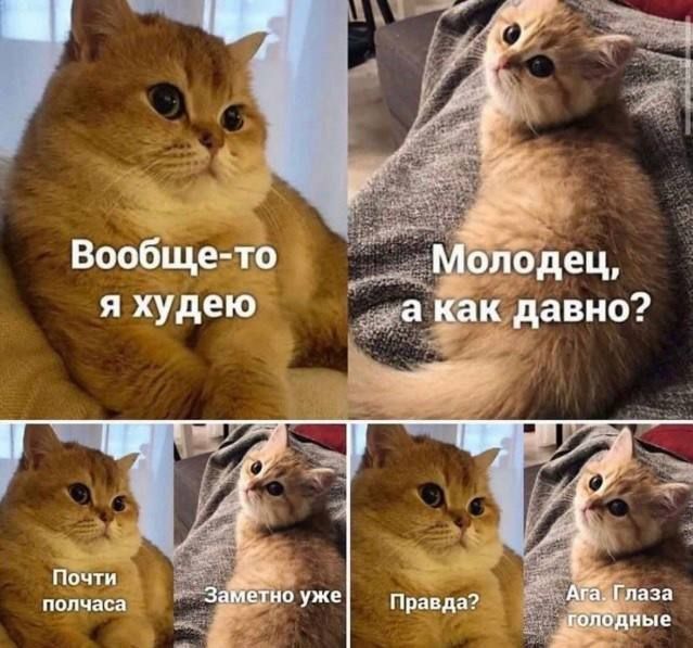 Вообще-то я худею Молодец, а как давно? Почти полчаса Заметно уже Правда? Ага глаза голодные