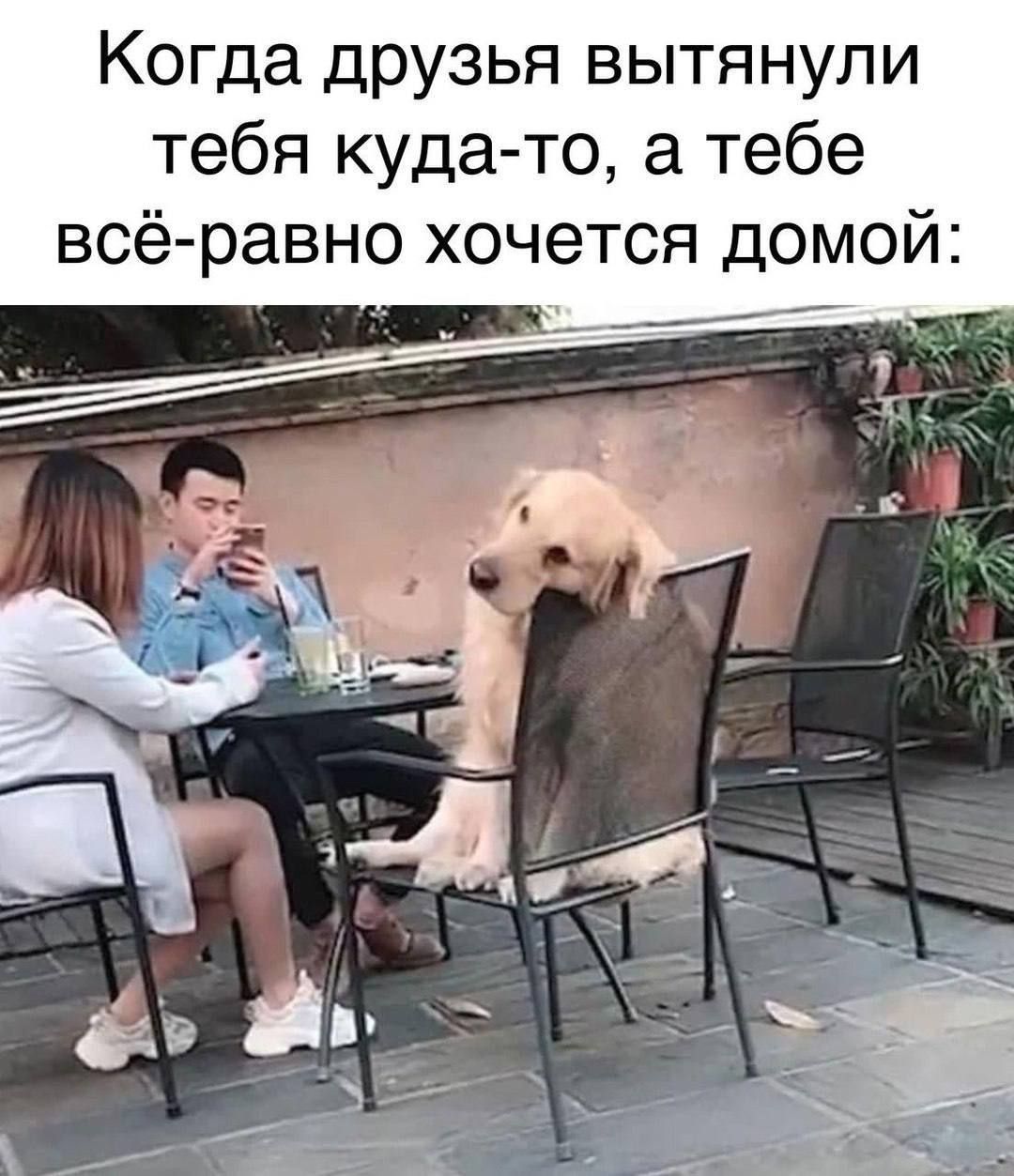 Когда друзья вытянули тебя куда-то, а тебе всё равно хочется домой: