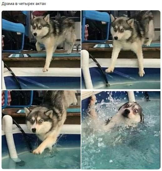 Драма в четырех актах