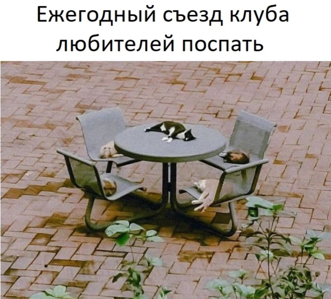 Ежегодный съезд клуба любителей поспать