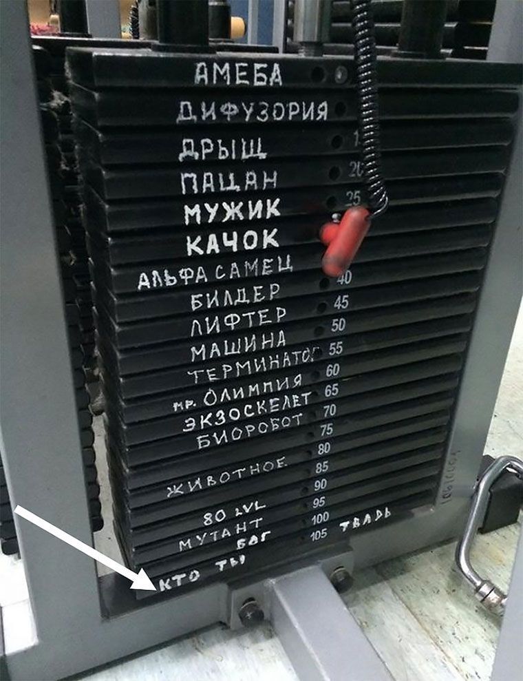 АМЕБА
ДИФУЗОРИЯ
ДРЫШ
МАЧИНА
МУЖИК
КАЧОК
АЛЬФА САМЕЦ
БИЛДЕР
ЛИФТЕР
МАШИНА
ТЕРМИНАТОР
ЭКЗОКСЕЛЕТ
БИОРБОТ
ЖИВОТНОЕ
КТО ТЫ