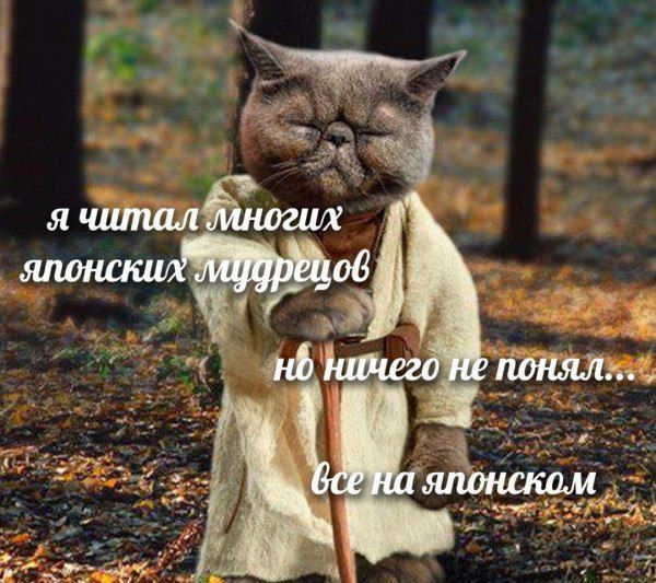 я читал многих японских мудрецов но ничего не понял... все на японском