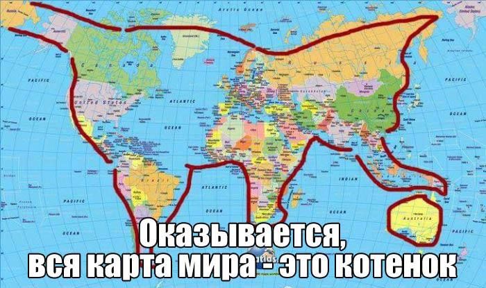 Оказывается, вся карта мира - это котенок