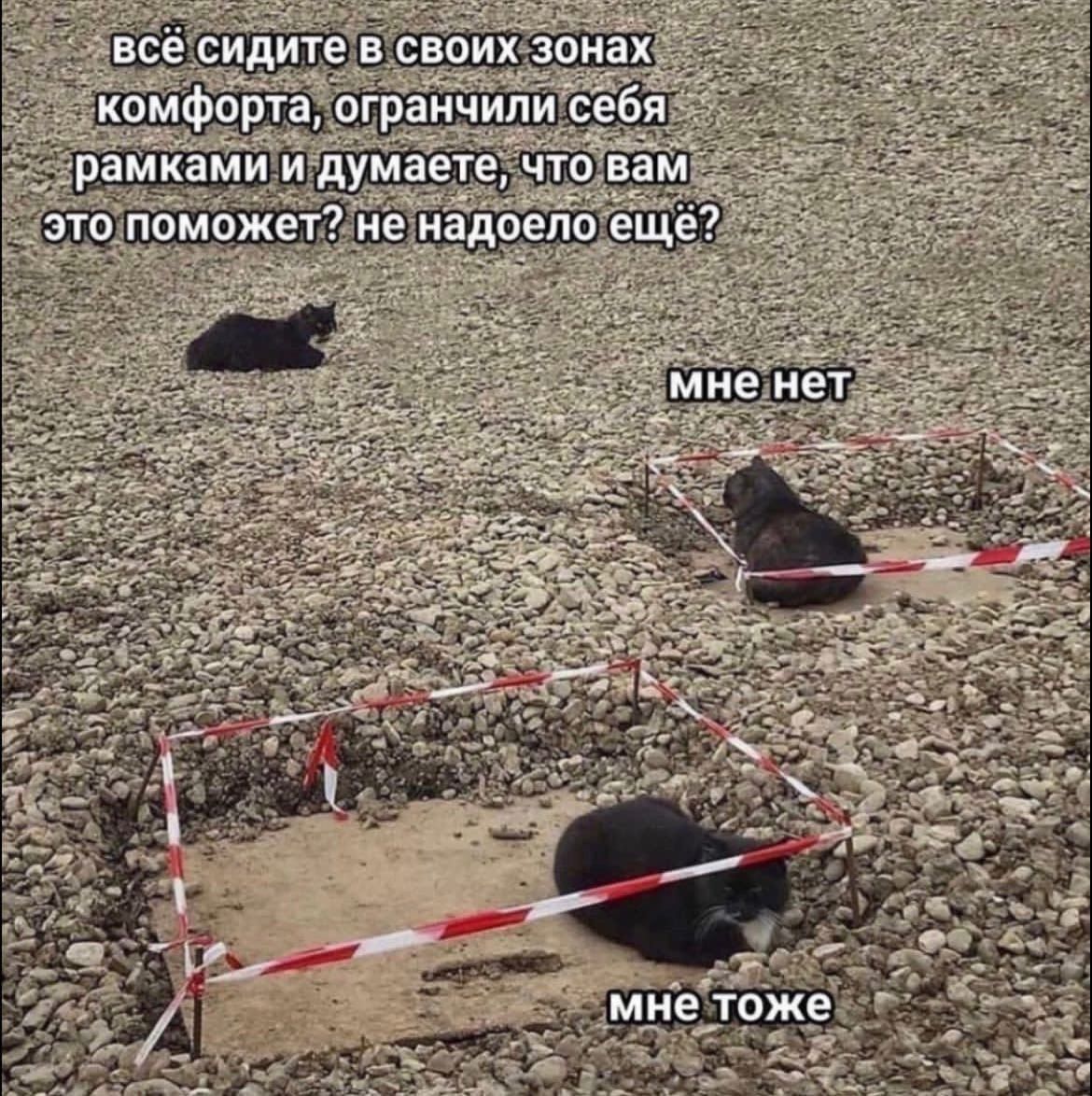 всё сидите в своих зонах комфорта, ограничили себя рамками и думаете, что вам это поможет? не надоело ещё? мне нет; мне тоже