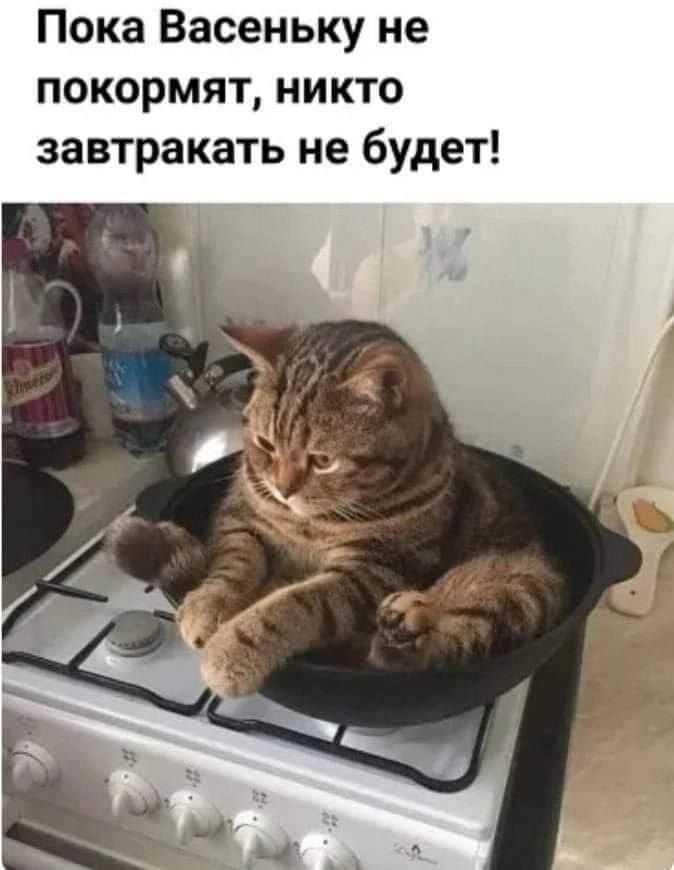 Пока Васеньку не покормят, никто завтрака не будет!