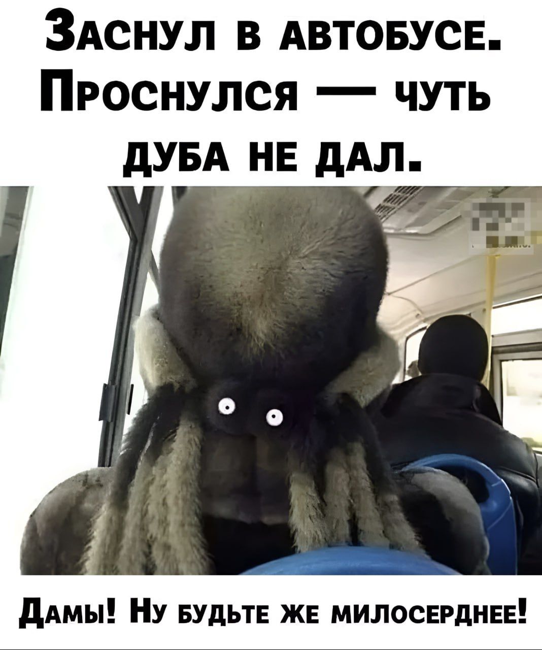 Заснул в автобусе. Проснулся — чуть дуба не дал. Дамы! Ну будьте же милосерднее!