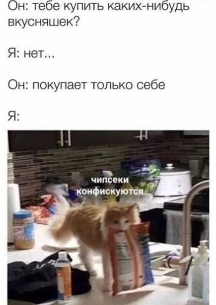 Он: тебе купить каких-нибудь вкусняшек? Я: нет... Он: покупает только себе Я: чипсики конфискуются