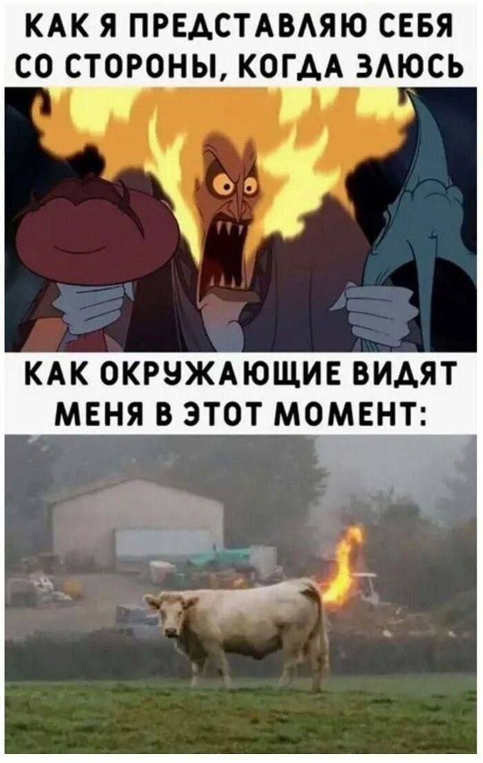 КАК Я ПРЕДСТАВЛЯЮ СЕБЯ СО СТОРОНЫ, КОГДА ЗЛЮСЬ КАК ОКРУЖАЮЩИЕ ВИДЯТ МЕНЯ В ЭТОТ МОМЕНТ: