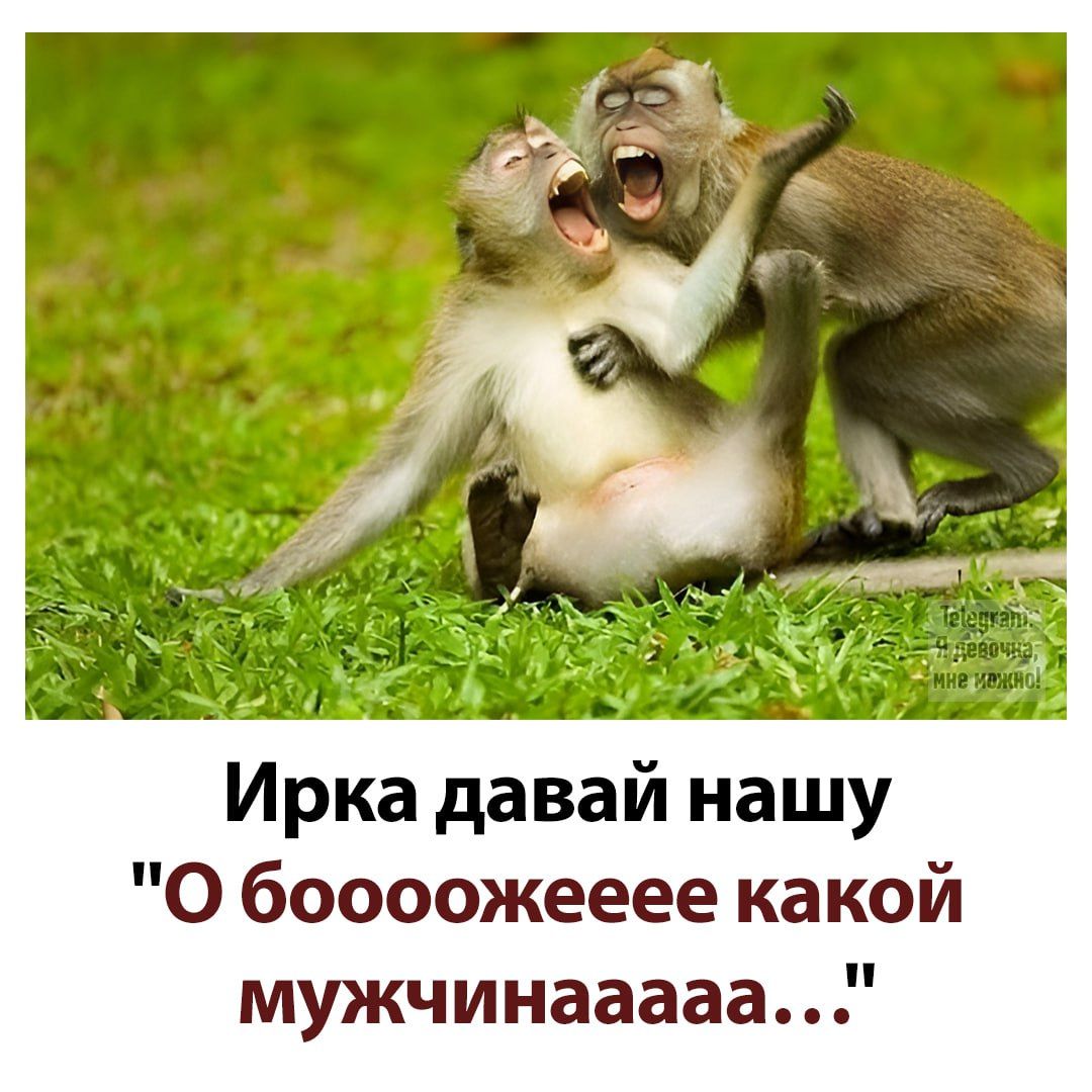 Ирка давай нашу 