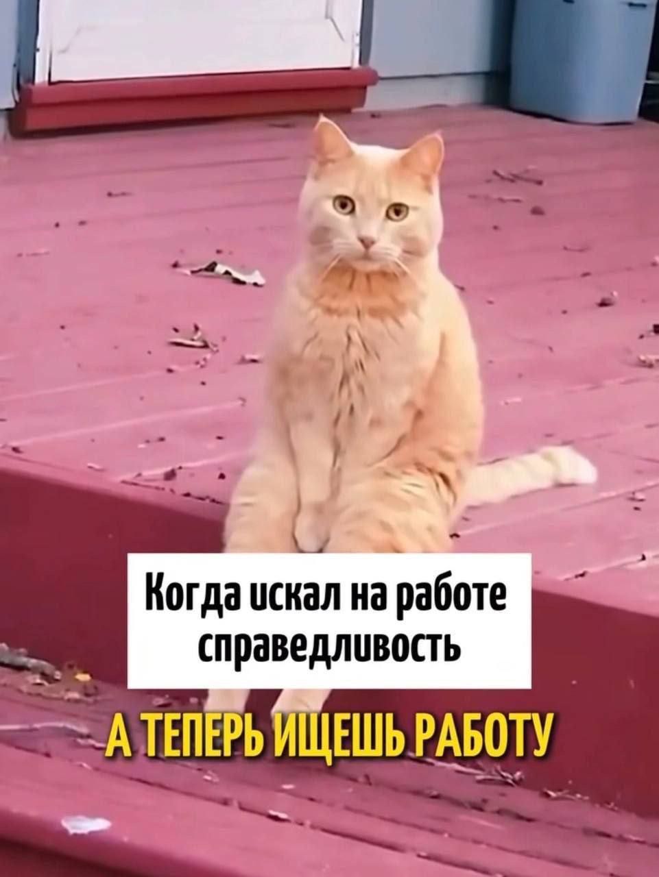 Когда искал на работе справедливость\nА ТЕПЕРЬ ИЩЕШЬ РАБОТУ