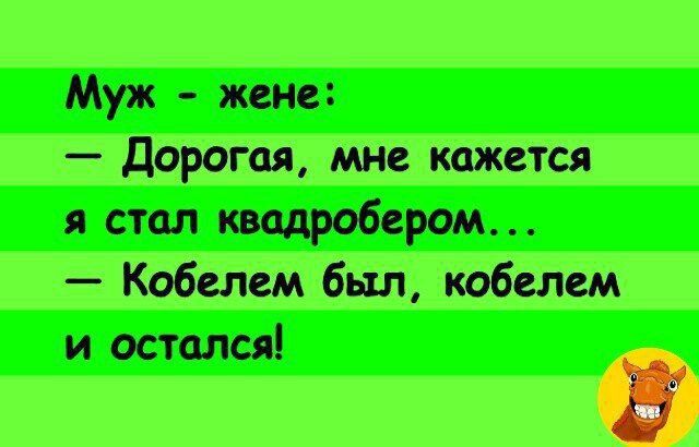 Муж - жене: — Дорогая, мне кажется я стал квадратобером... — Кобелем был, кобелем и остался!