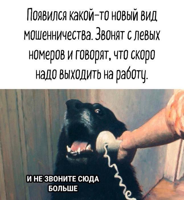 Появился какой-то новый вид мошенничества. Звонят с левых номеров и говорят, что скоро надо выйти на работу. И НЕ ЗВОНИТЕ СЮДА БОЛЬШЕ