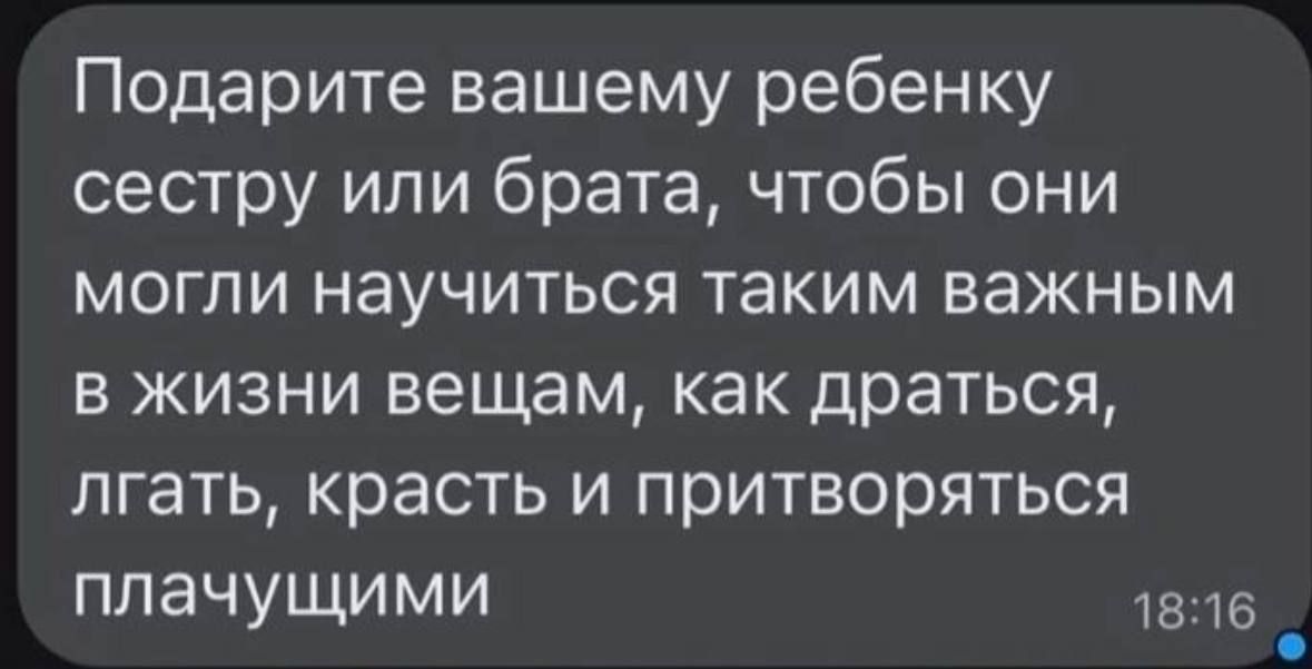 Подарите вашему ребенку сестру или брата, чтобы они могли научиться таким важным в жизни вещам, как драться, лгать, красть и притворяться плачущими