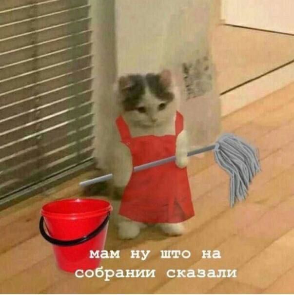 мам ну что на собрании сказали