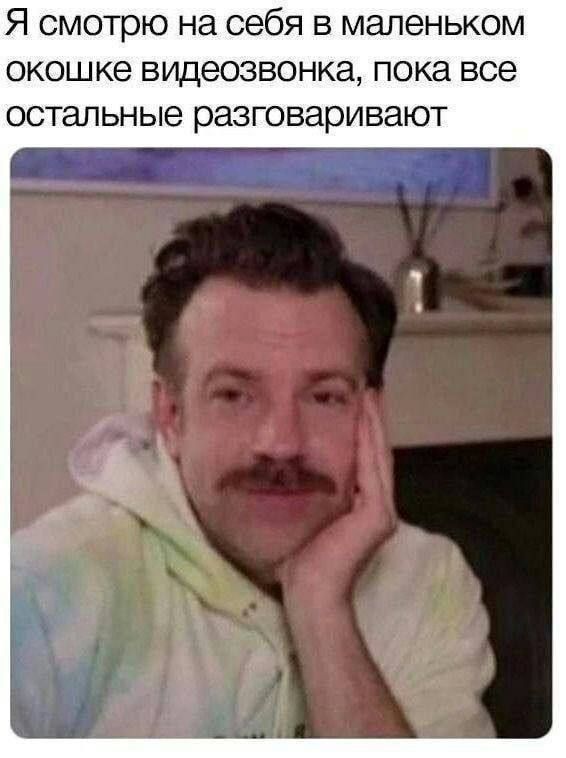 Я смотрю на себя в маленьком окошке видеозвонка, пока все остальные разговаривают