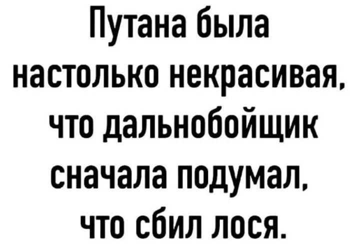 Путана была настолько некрасива, что дальнобойщик сначала подумал, что сбил лося.