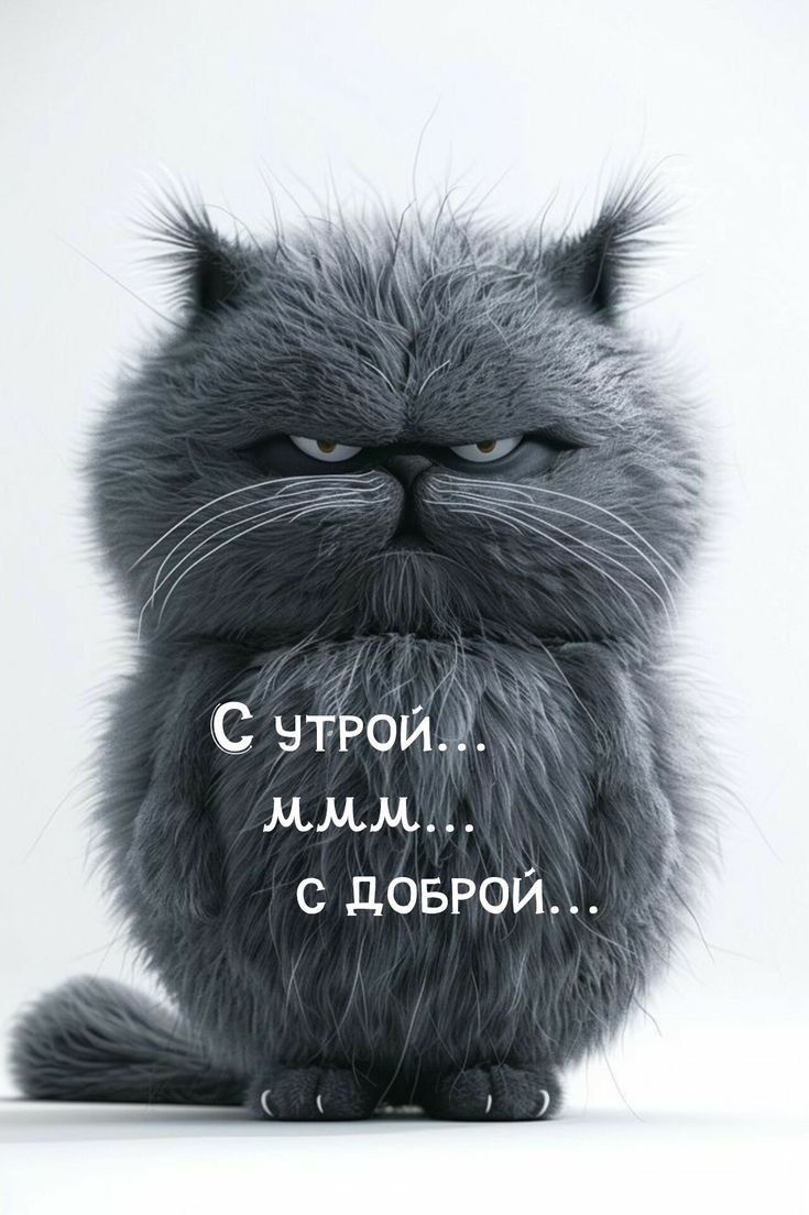 С утра... ммм... С доброй...