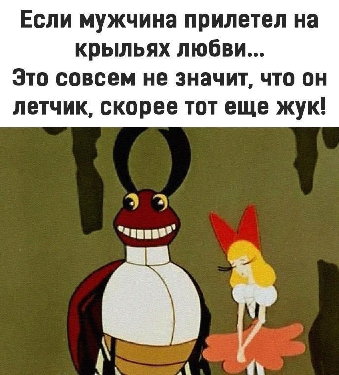 Если мужчина прилетел на крыльях любви... Это совсем не значит, что он летчик, скорее тот еще жук!