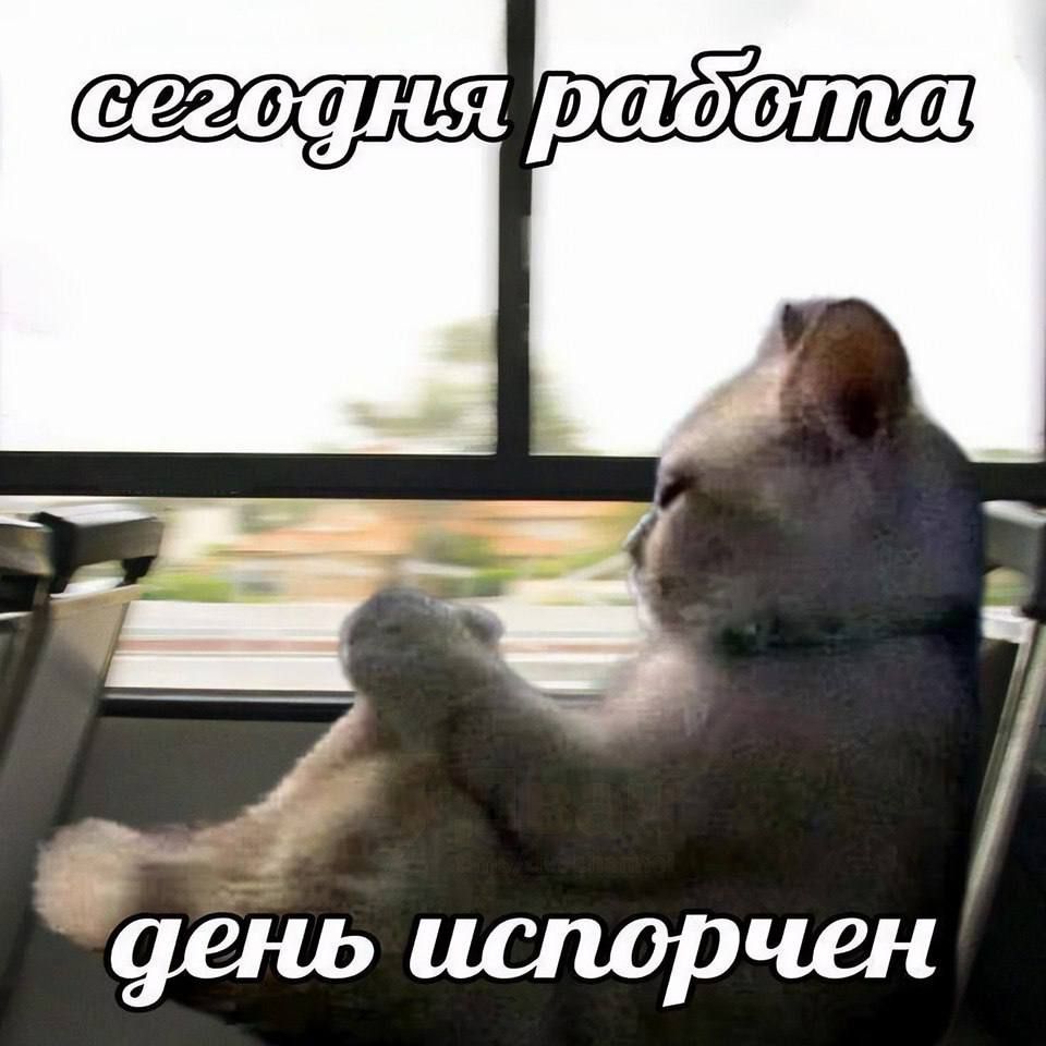 сегодня работа
день испорчен