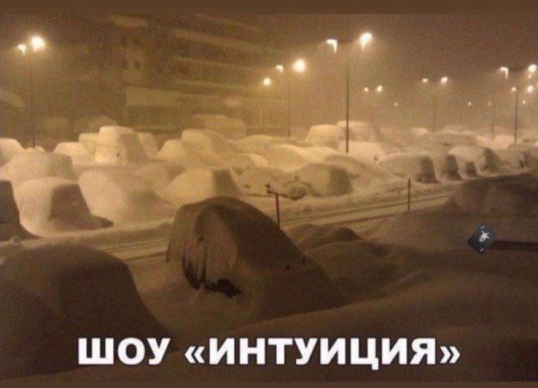 шоу «Интуиция»