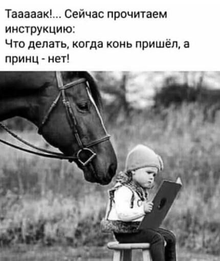 Тааааак!... Сейчас прочитаем инструкцию: Что делать, когда конь пришёл, а принц - нет!