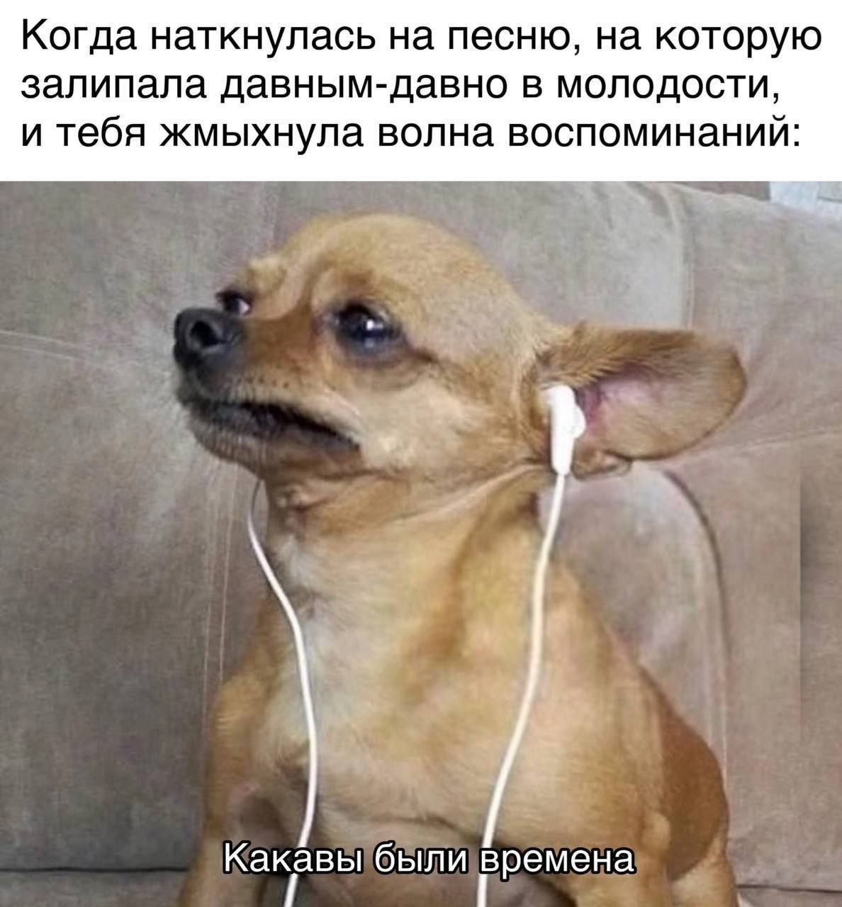 Когда наткнулась на песню, на которую залипала давным-давно в молодости, и тебя хмыкнула волна воспоминаний: Какие были времена