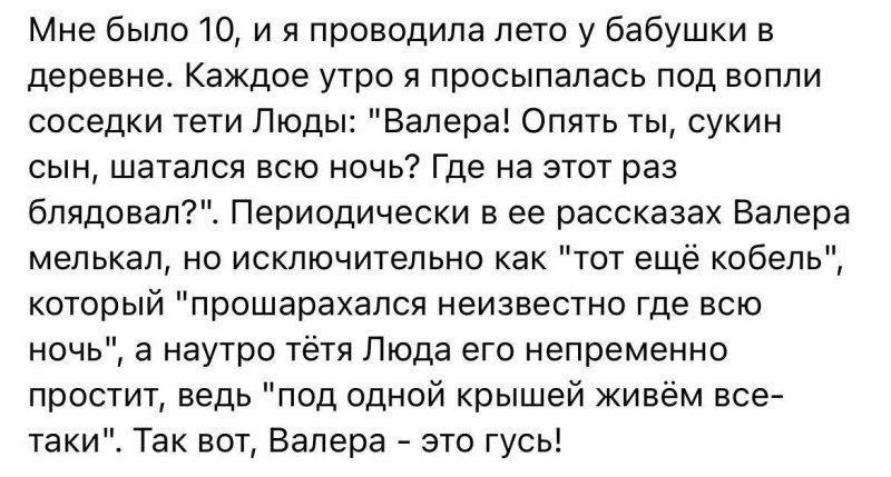 Мне было 10, и я проводила лето у бабушки в деревне. Каждое утро я просыпалась под вопли соседки тети Люды: «Валера! Опять ты, сукин сын, шляешься по ночам!» Периодически в её рассказах Валера мелькал как «тот ещё кобель», который всё прощался ночью — под одной крышей живём все таки. Так вот, Валера — это гусь!