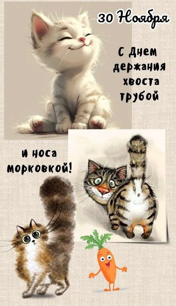 30 Ноября С днем держания хвоста грубой и носа морковкой!