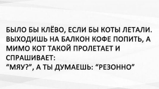 БЫЛО БЫ КЛЁВО, ЕСЛИ БЫ КОТЫ ЛЕТАЛИ. ВЫХОДИШЬ НА БАЛКОН КОФЕ ПОПИТЬ, А МИМО КОТ ТАКОЙ ПРОЛЕТАЕТ И СПРАШИВАЕТ: 'МЯУ?', А ТЫ ДУМАЕШЬ: 'РЕЗОННО'