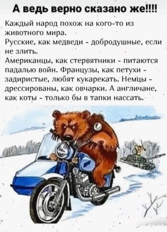 А ведь верно сказано же!!!! Каждый народ похож на кого-то из животного мира. Русские, как медведи - добродушные, если не злить. Американцы, как стервятники - питаются войной. Французы, как петухи - заздривые, любят кукарекать. Немцы - дрессированные, как овчарки. А англичане, как коты - только бы в тапки Нассать.