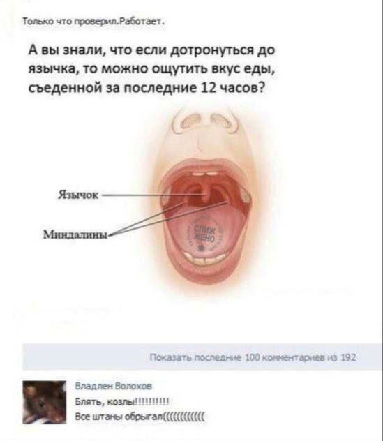 Только что проверил. Работает. А вы знали, что если достронуться до язычка, то можно ощутить вкус еды, съеденной за последние 12 часов? Язычок — Миндалины —