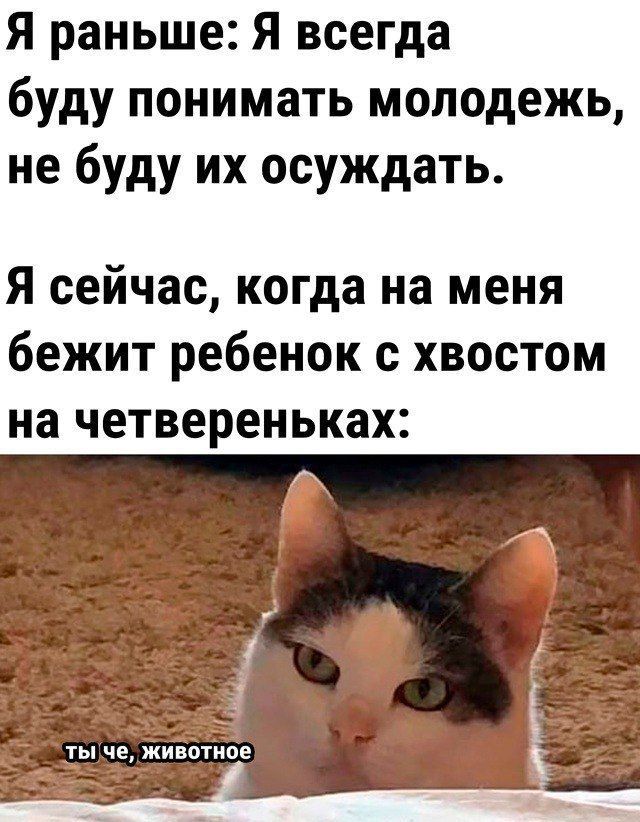Я раньше: Я всегда буду понимать молодёжь, не буду их осуждать. Я сейчас, когда на меня бежит ребёнок с хвостом на четвереньках: ты че, животное