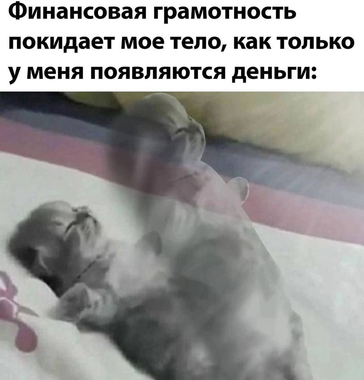 Финансовая грамотность покидает мое тело, как только у меня появляются деньги:
