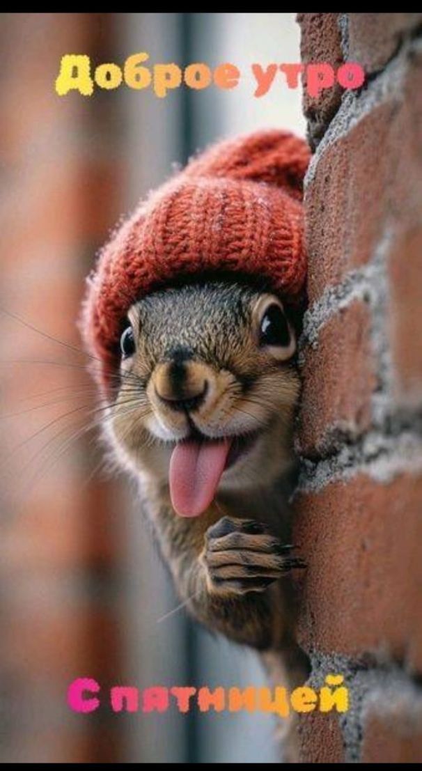 Доброе утро. С пятницей