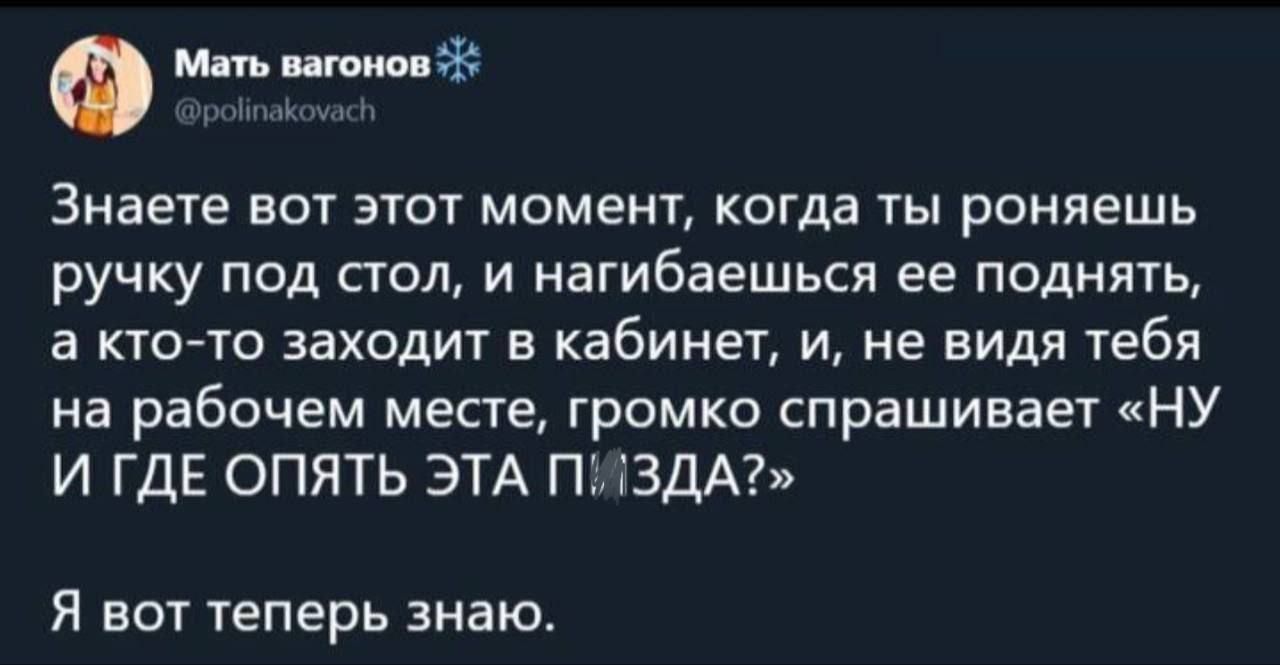 Знаете вот этот момент, когда ты роняешь ручку под стол, и нагибаешь её поднять, а кто-то заходит в кабинет, и, не видя тебя на рабочем месте, громко спрашивает «Ну И ГДЕ ОПЯТЬ ЭТА ПИЗДА?» Я вот теперь знаю.
