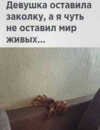 Девушка оставила заколку, а я чуть не оставил мир живых...