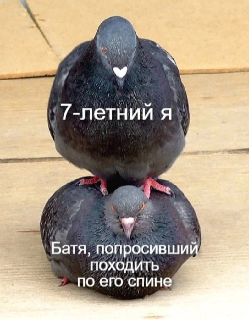 7-летний я. Батя, попросивший походить по его спине