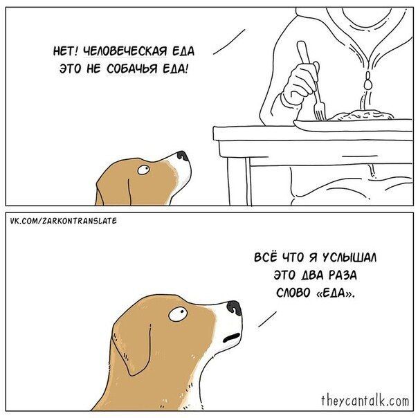 НЕТ! ЧЕЛОВЕЧЕСКАЯ ЕДА ЭТО НЕ СОБАЧЬЬА ЕДА!\n\nВСЁ ЧТО Я УСЛЫШАЛ ЭТО ДВА РАЗА СЛОВО «ЕДА».