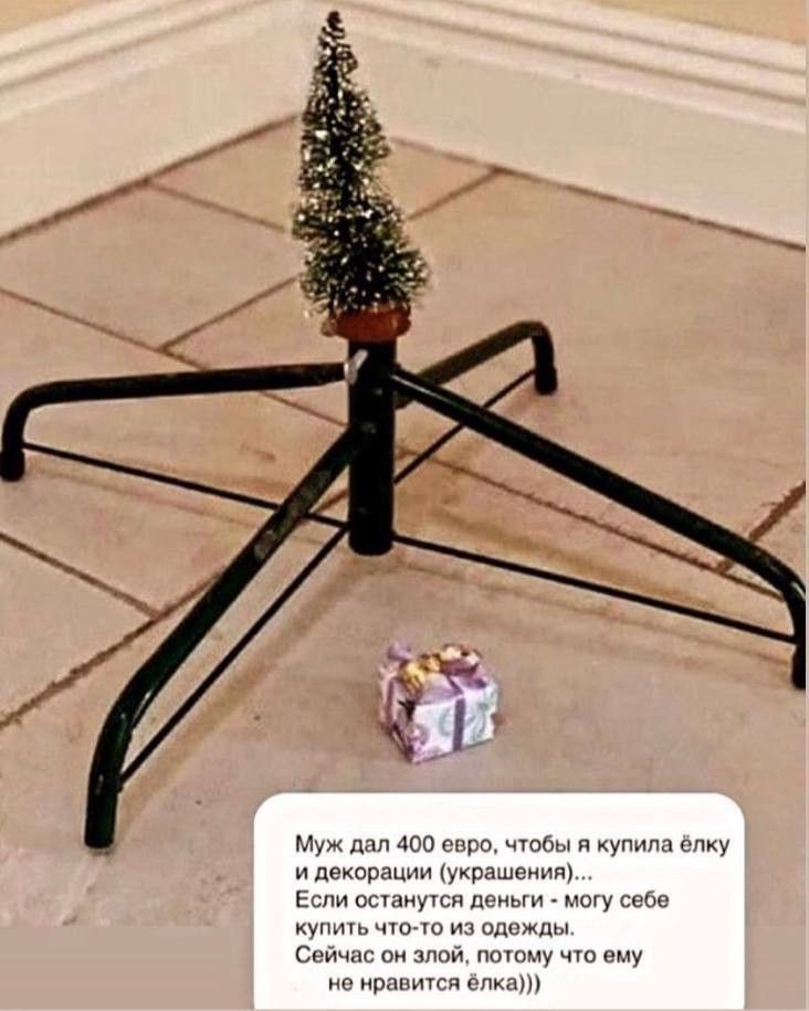 Муж дал 400 евро, чтобы я купила ёлку и декорации (украшения)… Если останутся деньги - могу себе купить что-то из одежды. Сейчас он злой, потому что ему не нравится елка)))