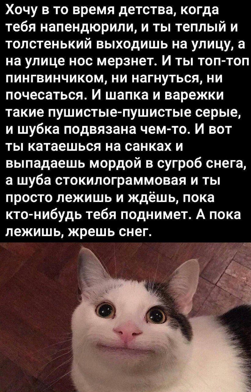 Хочу в то время детства, когда тебя напендюроли, и ты тeплый и толстенький выходишь на улицу, а на улице нос мерзнет. И ты топ-топ пингвинчиком, ни нагнуться, ни почесаться. И шапка и варежки такие пушистые-пушистые серые, и шубка подвязана чем-то. И вот ты катаешься на санках и выпадаешь мордой в сугроб снега, а шуба стокилограммовая и ты просто лежишь и ждёшь, пока кто-нибудь тебя поднимет. А пока лежишь, жрешь снег.