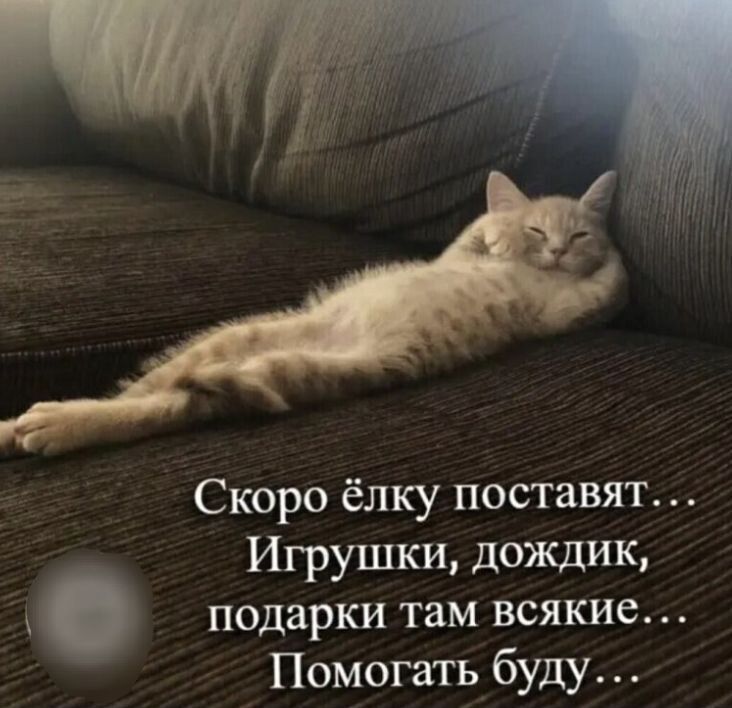 Скоро ёлку поставят... Игрушки, дождик, подарки там всякие... Помогать буду...