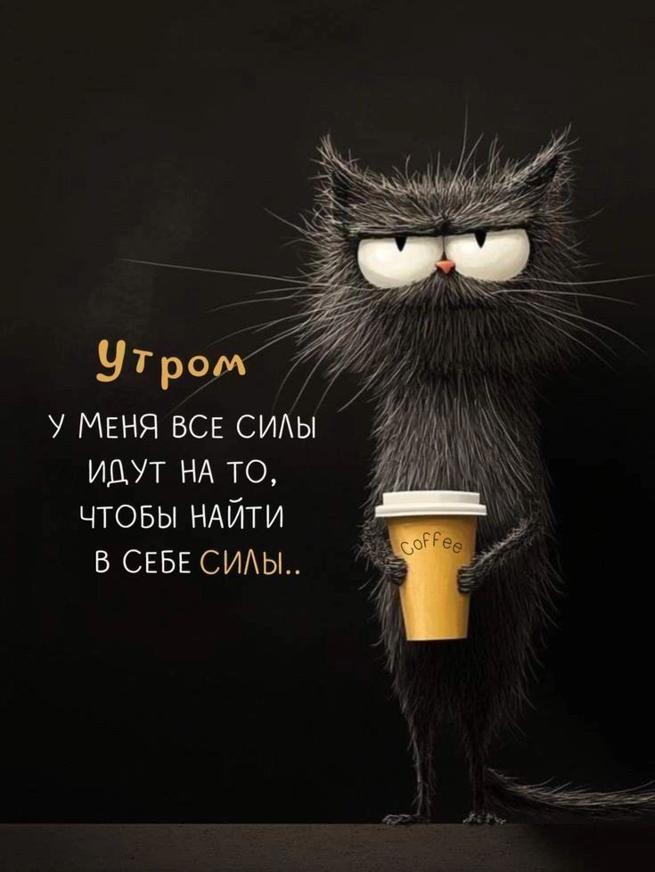 Утром у меня все силы идут на то, чтобы найти в себе силы..