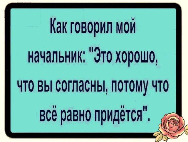 Как говорил мой начальник: 