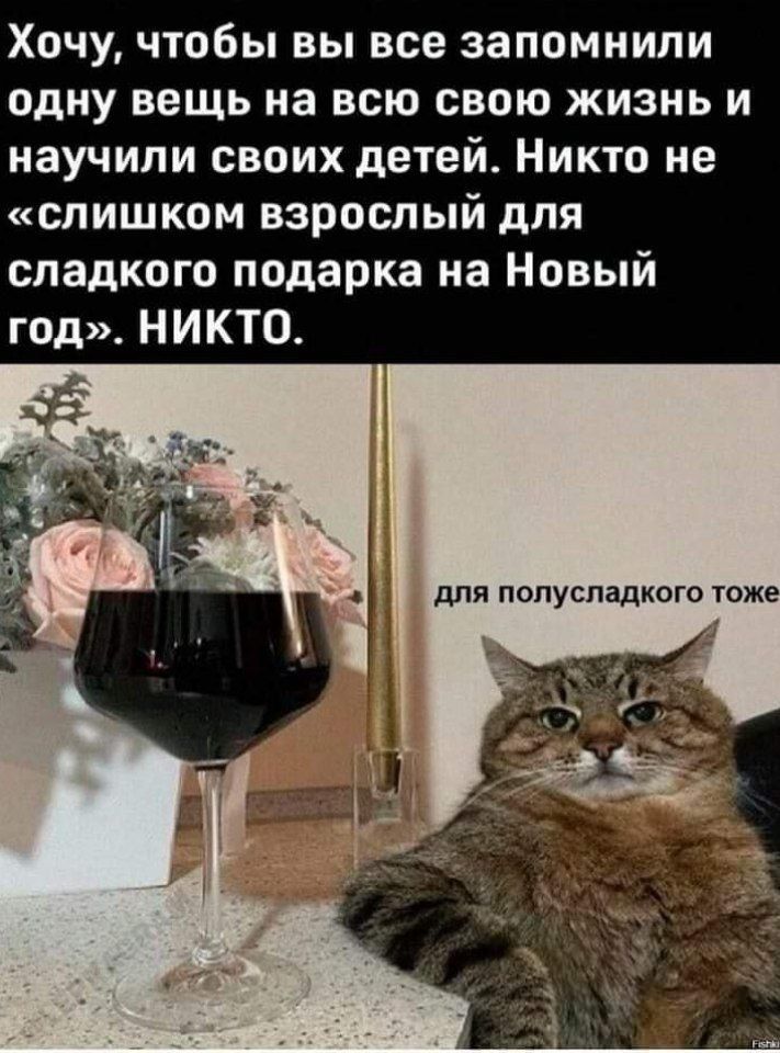 Хочу, чтобы вы все запомнили одну вещь на всю свою жизнь и научили своих детей. Никто не «слишком взрослый для сладкого подарка на Новый год». НИКТО. для полусладкого тоже