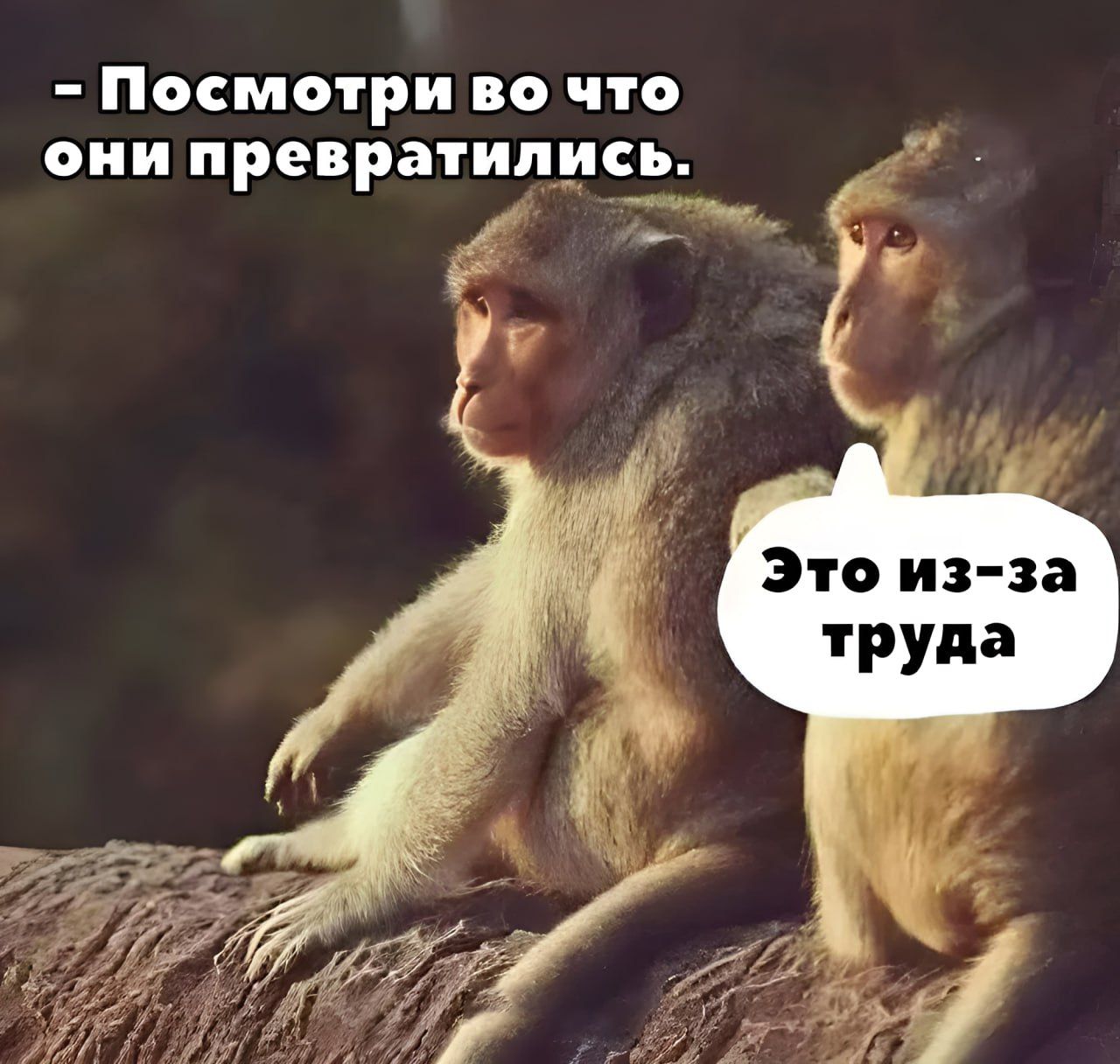 - Посмотри во что они превратились. 
Это из-за труда