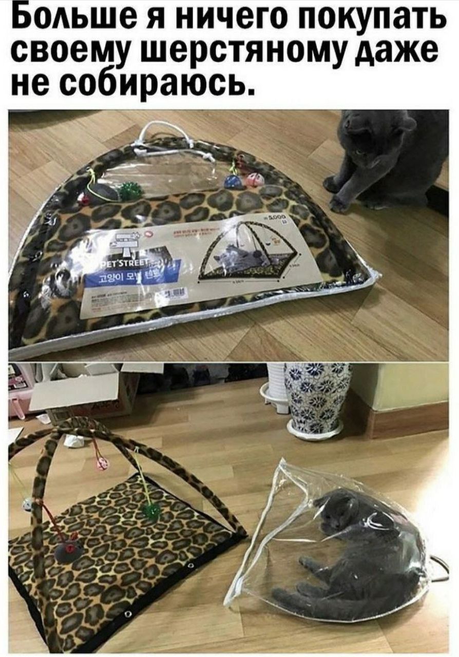 Больше я ничего покупать своему шерстяному даже не собираюсь.