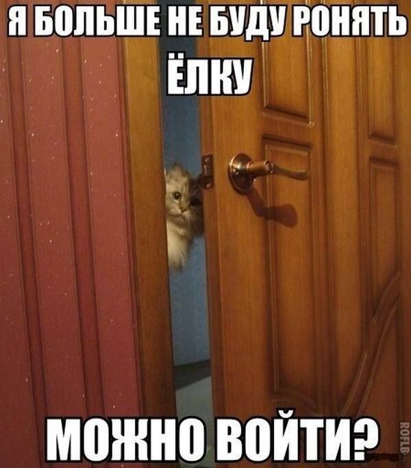 Я БОЛЬШЕ НЕ БУДУ РОНЯТЬ ЁЛКУ МОЖНО ВОЙТИ?