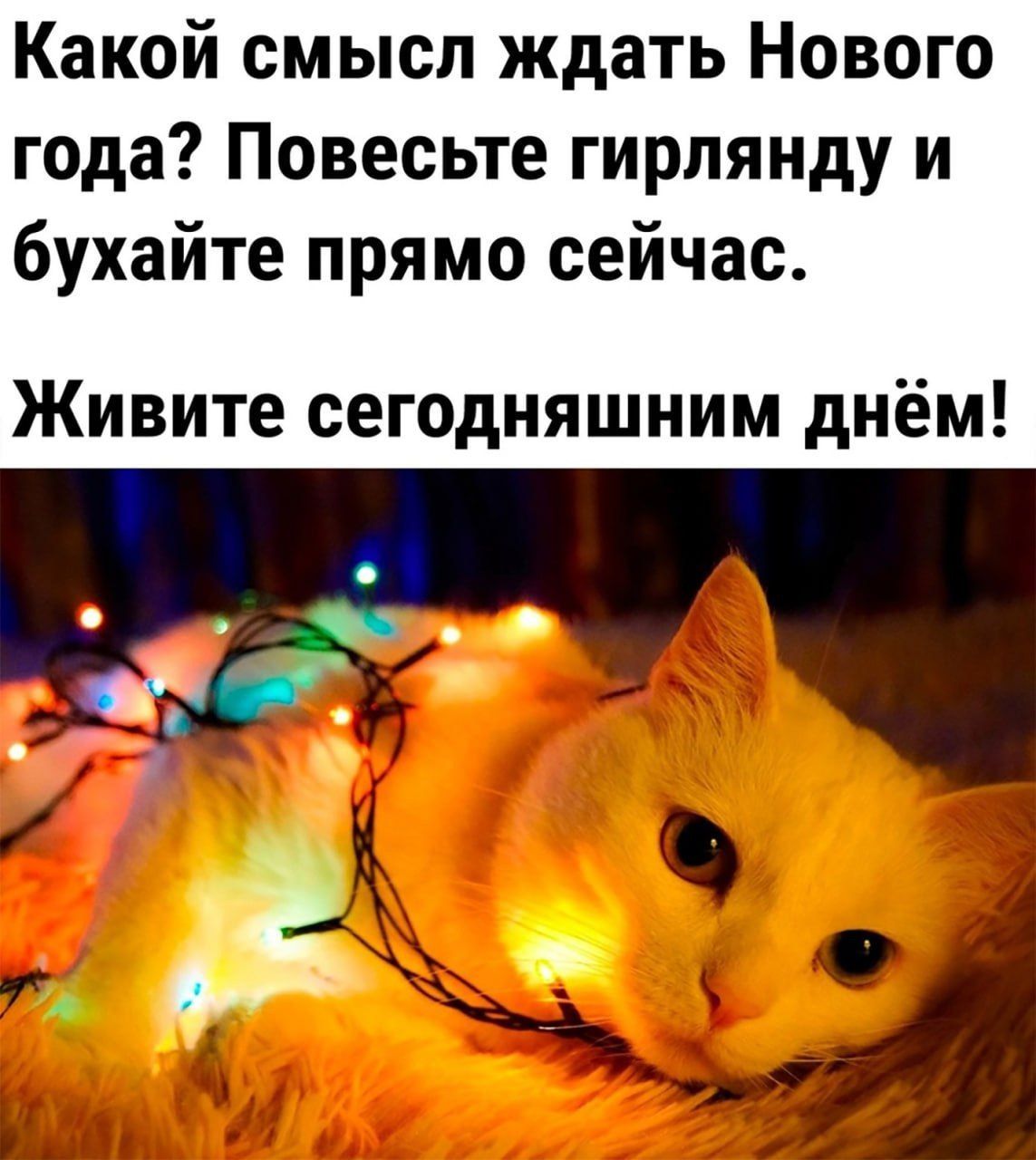 Какой смысл ждать Нового года? Повесьте гирлянду и бухайте прямо сейчас. Живите сегодняшним днём!