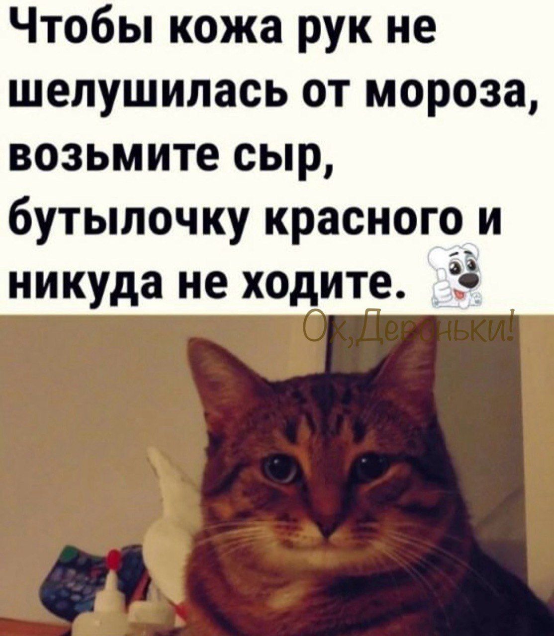 Чтобы кожа рук не шелушилась от мороза, возьмите сыр, бутылочку красного и никуда не ходите.